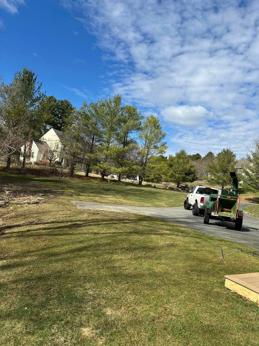 Fall Clean Up for Silver City Tree and Landscape in Taunton, MA