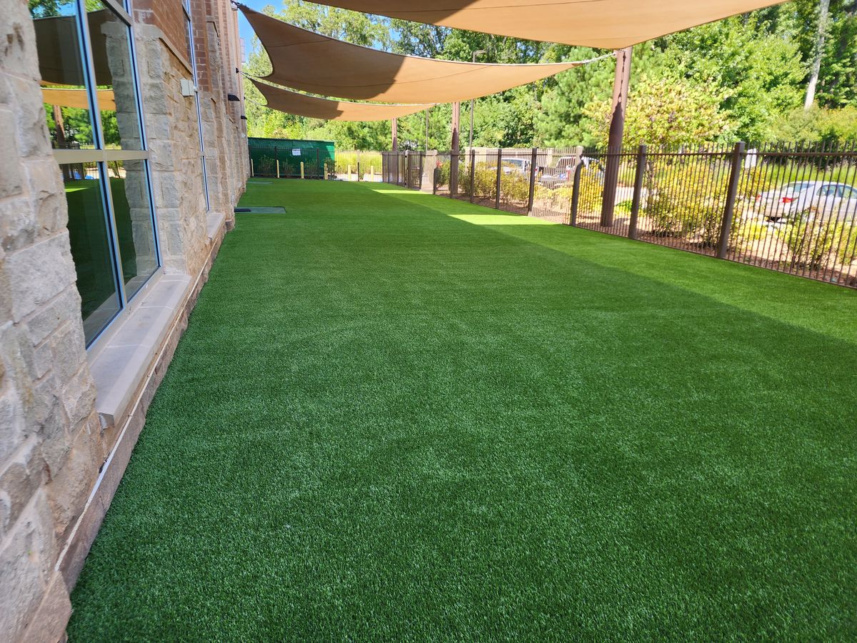 Artificial Turf For Pets for Elite Turfs in Concord, NC