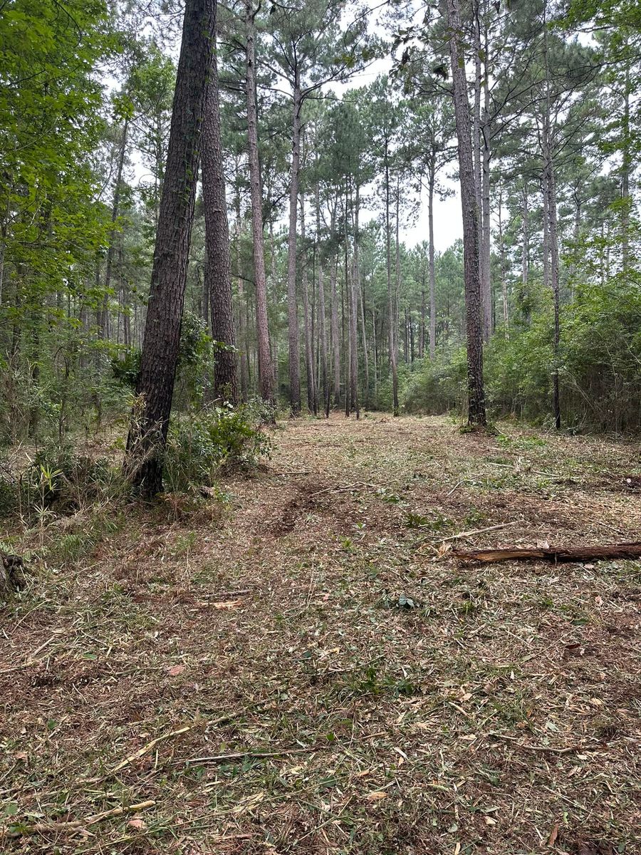 Underbrushing for Iron Industries in Bluffton, SC