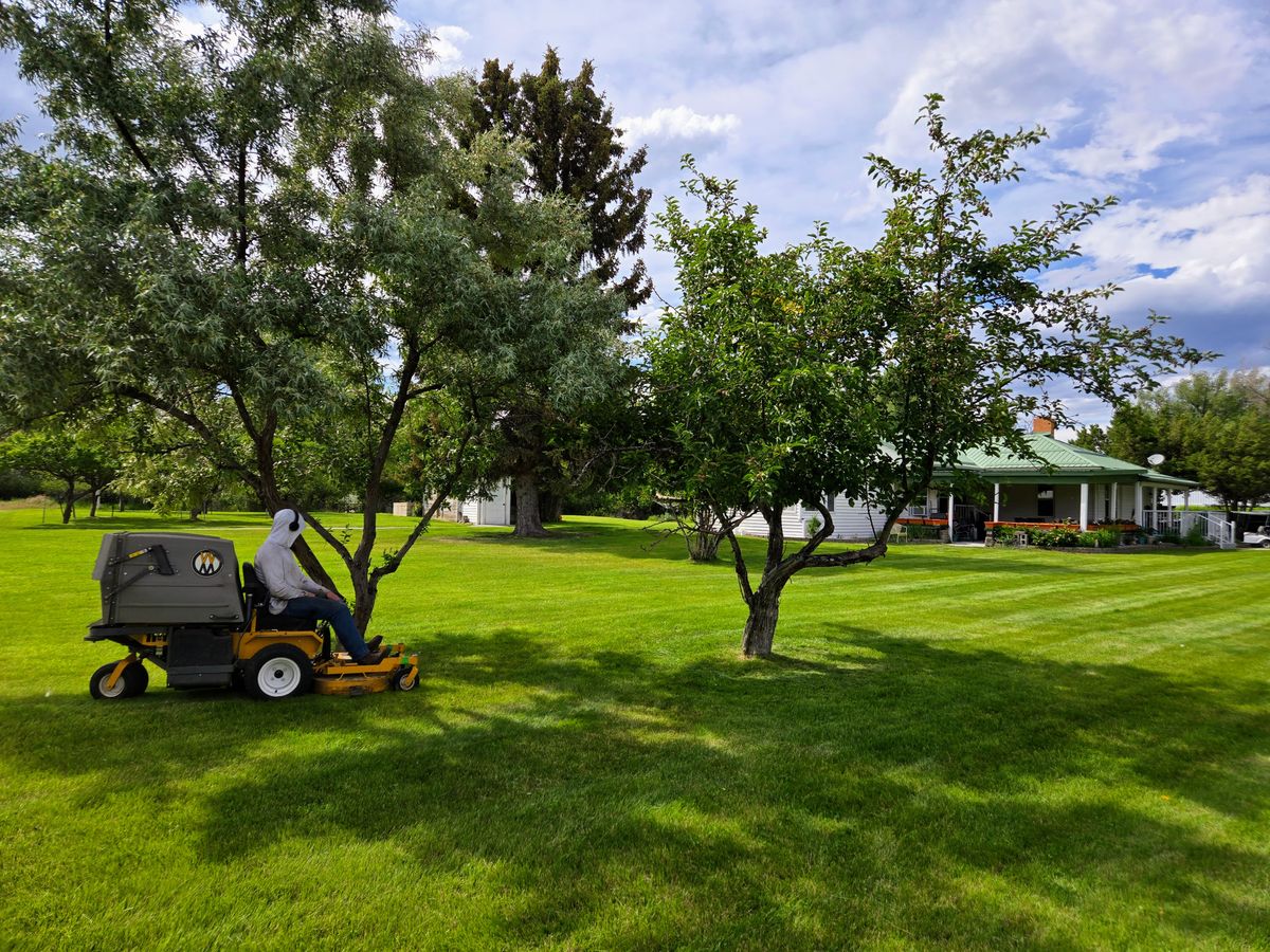 Property Clean-Ups for Eagle Bay is Proud to Transition to Augusta Lawn Care of Helena in Helena, MT