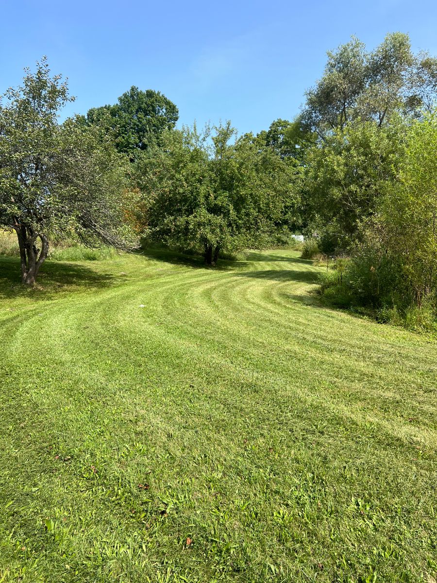 Mowing for VP Landscaping  in Fife Lake,  MI