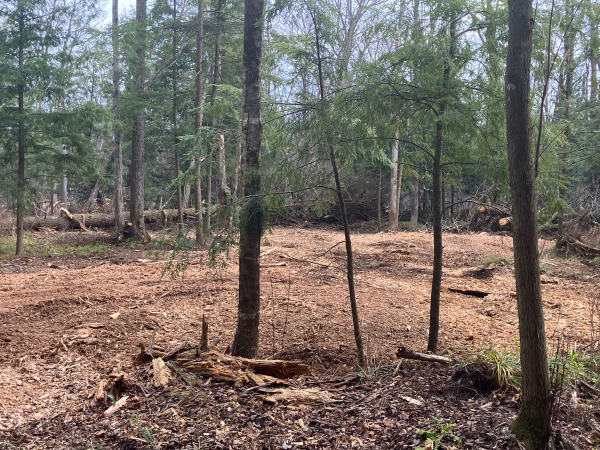 Storm Damage Cleanup for Brush Busters in Wausau, WI