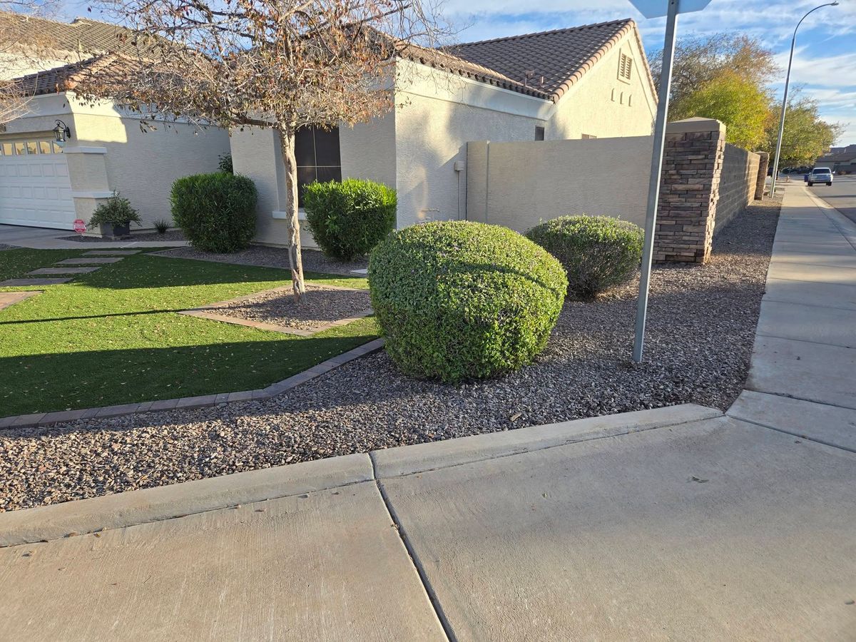 Landscape Design for WHAT! Luxury Landscapes, LLC. in Chandler, AZ