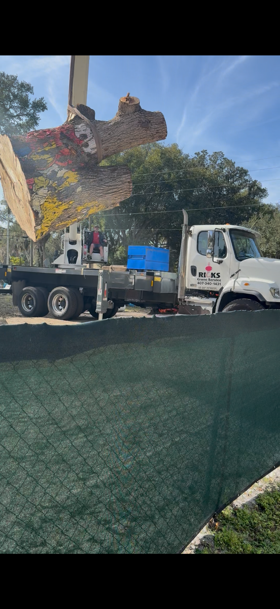 Land Clearing for Amerigrown Tree And Lawn in Apopka, FL