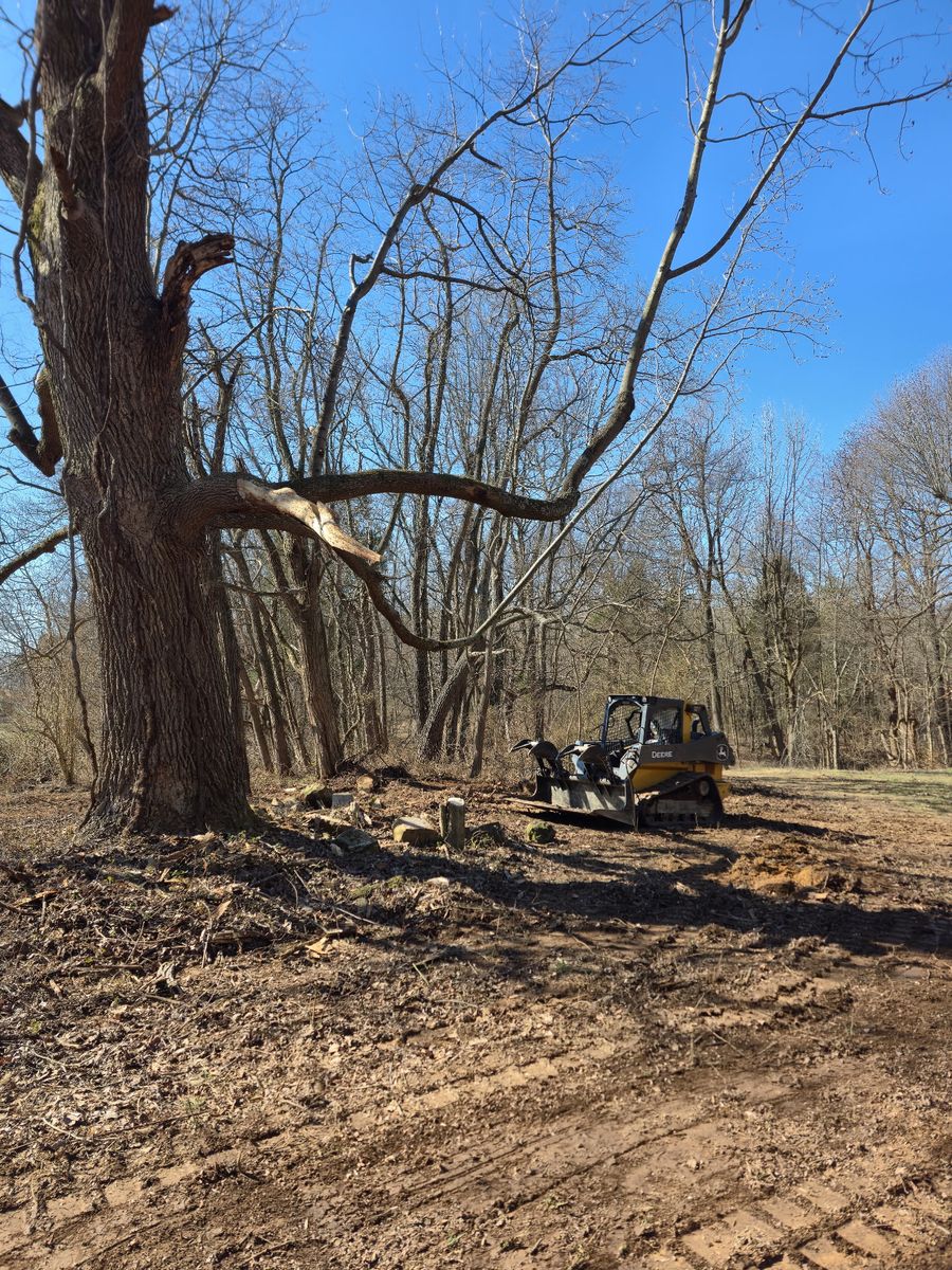 Tree Removal for Optimum Tree Service And Landscaping in Bowling Green, KY