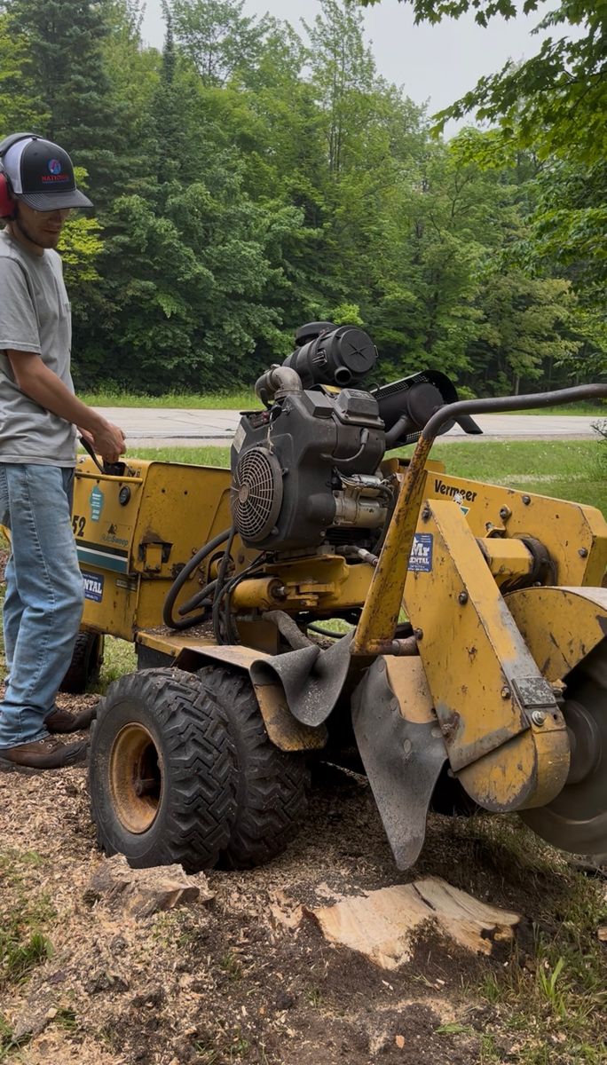 Stump Grinding and Removal for J&Q Tree Service in Paradise, MI