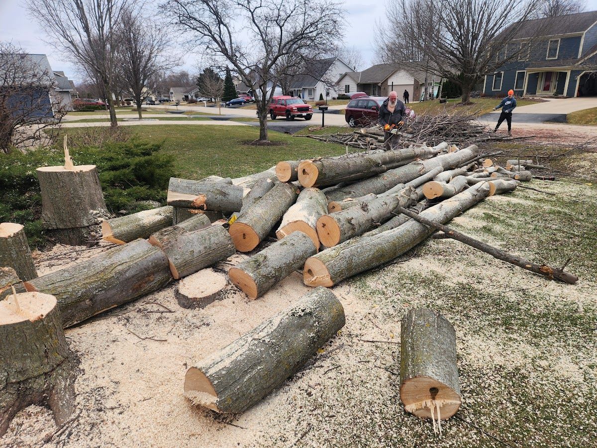 Tree Removal for Canopy Tree Service in Kenosha, WI