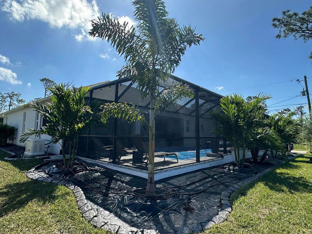 Palm and Trees for Plant World LLC in Cape Coral, FL