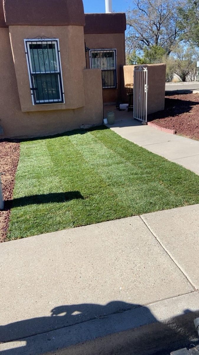 Sod Installation for 2 Brothers Landscaping in Albuquerque, NM