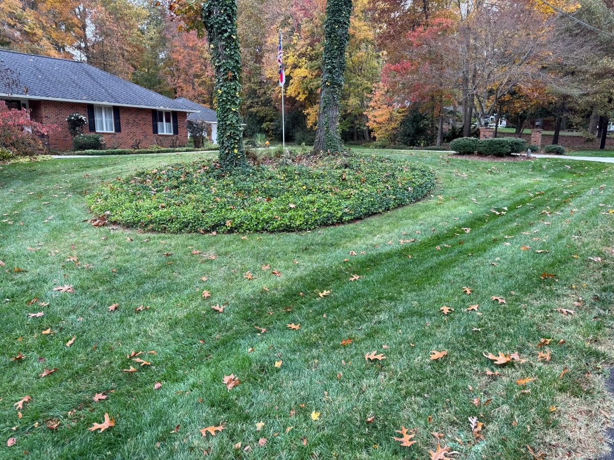 Property Clean Up & Leaf Removal for Gallimore’s Lawn Care in Thomasville, NC