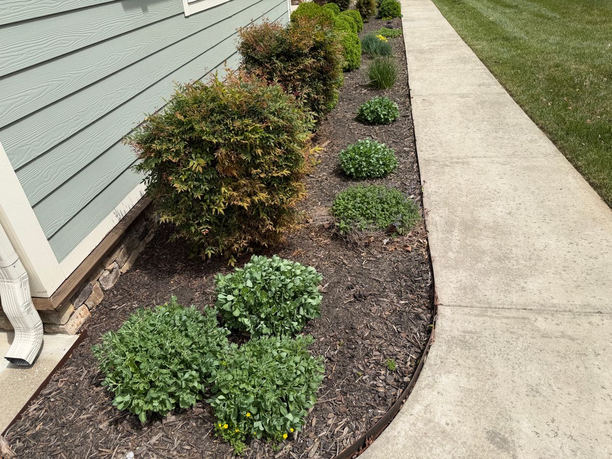 Tree & Shrub Care for Starnes Hardscapes & Property Management LLC in Dunlap, TN