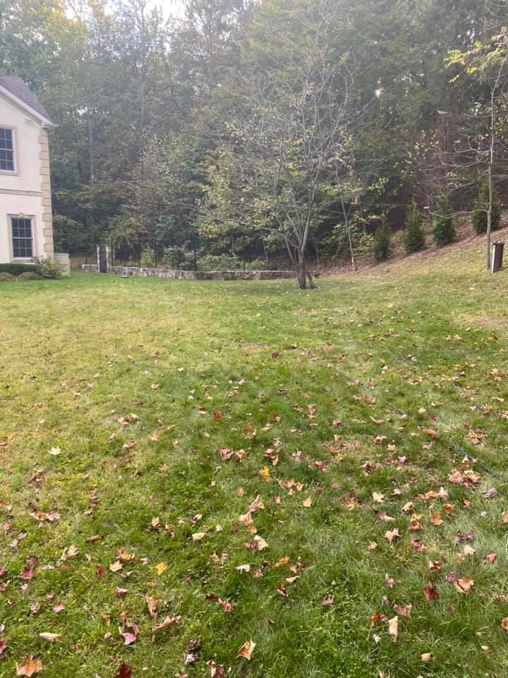 Fall Clean Up for Zaldivar’s Lawn Care INC  in Peekskill, NY