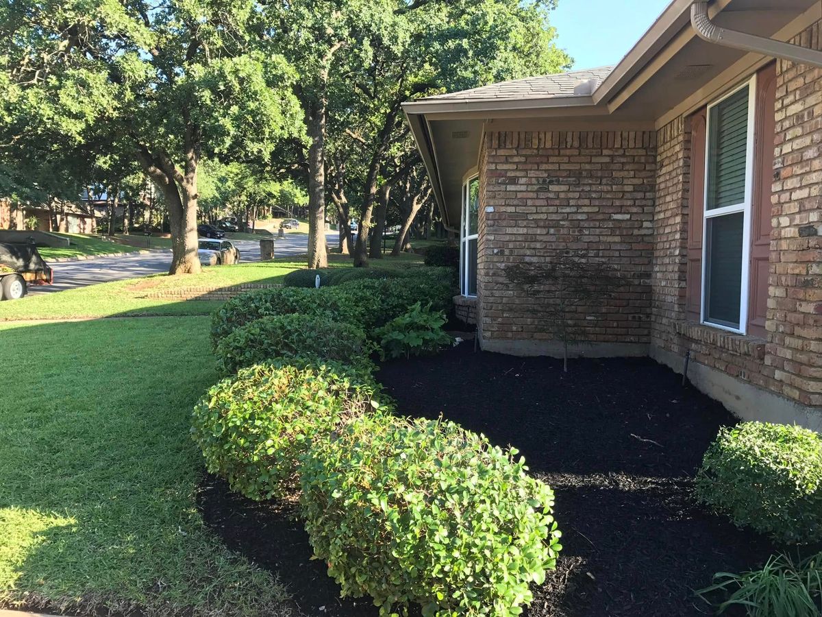 Shrub Trimming for Tree Valley Landscaping in Dallas, TX