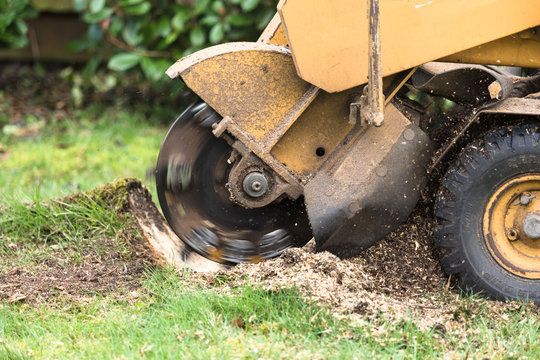 Stump Grinding for Bay Area Bobcat in Riverview, FL