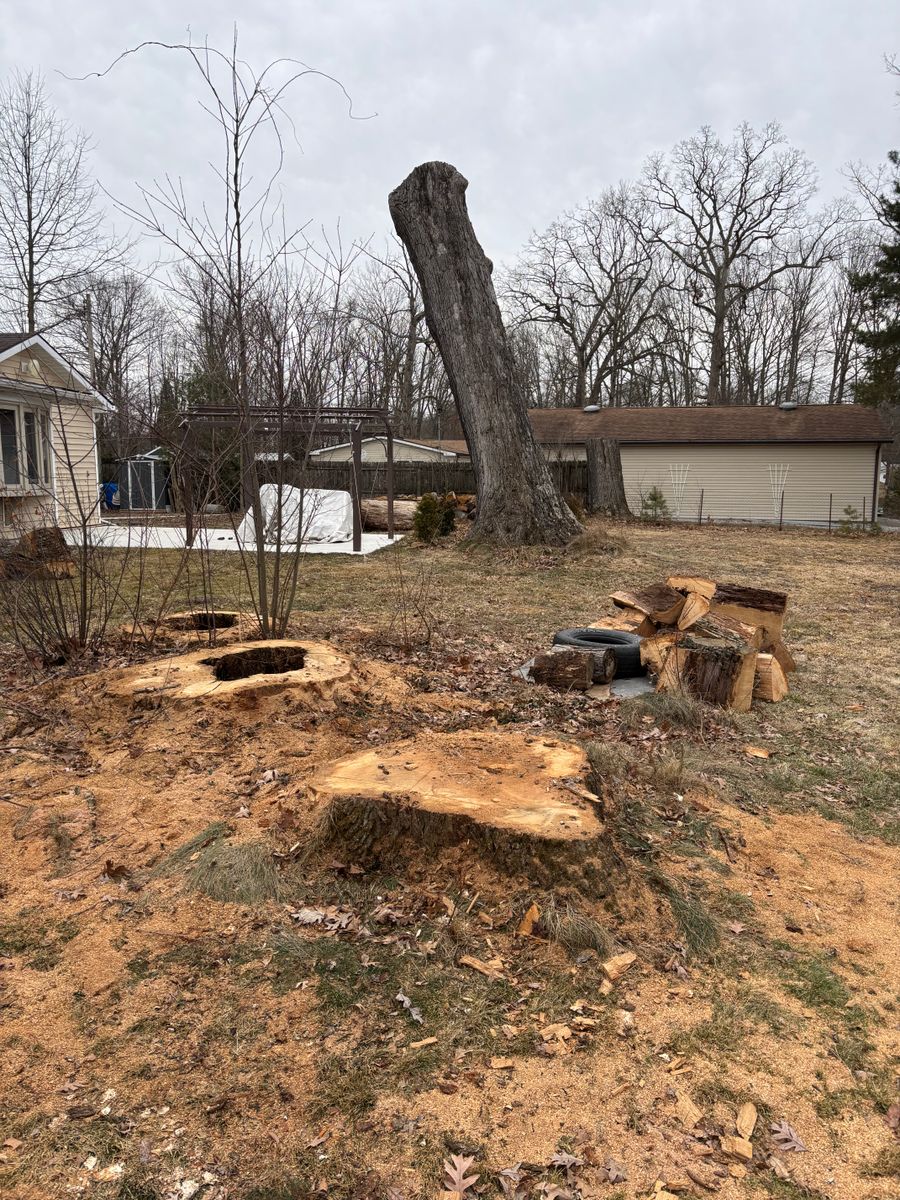 Shrub Stumps for Dean's Stump Removal in Youngstown, OH