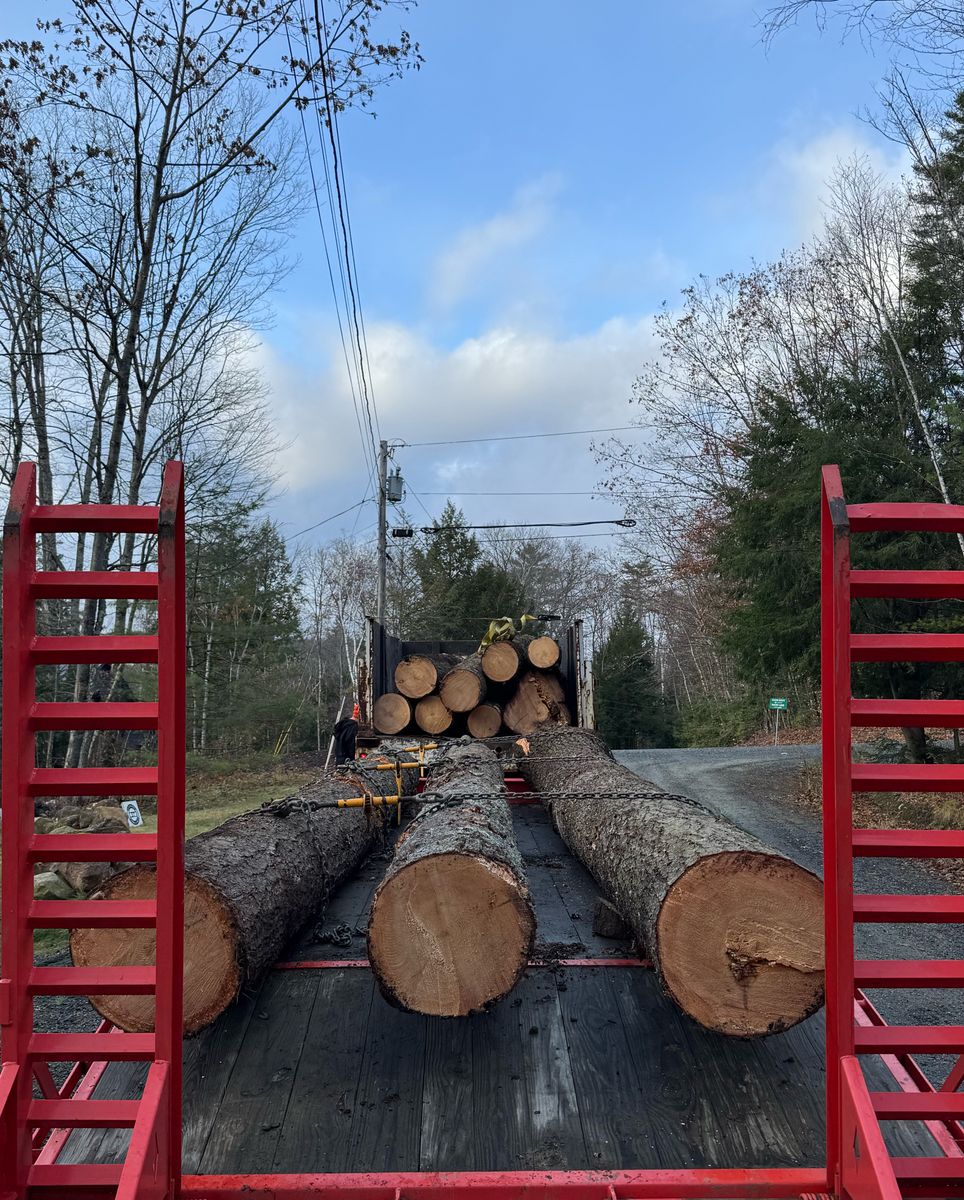Tree Removal & Pruning for Clifford’s Quality Tree Care & Landscaping in Enfield, NH