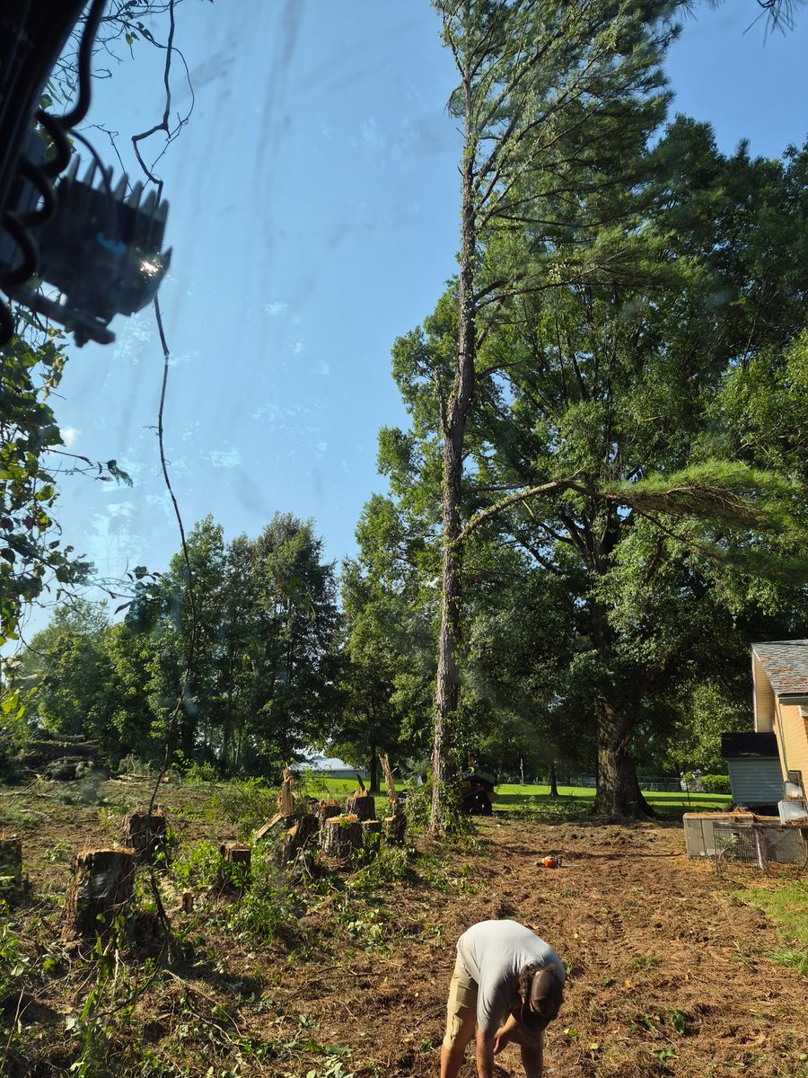 Land Clearing for 5 Star Land Management in Beech Bluff, TN