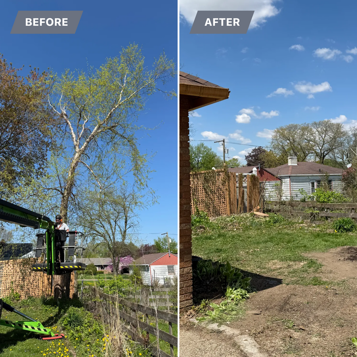 Tree Removal for Fransen's Tree Service  in Freeport, IL