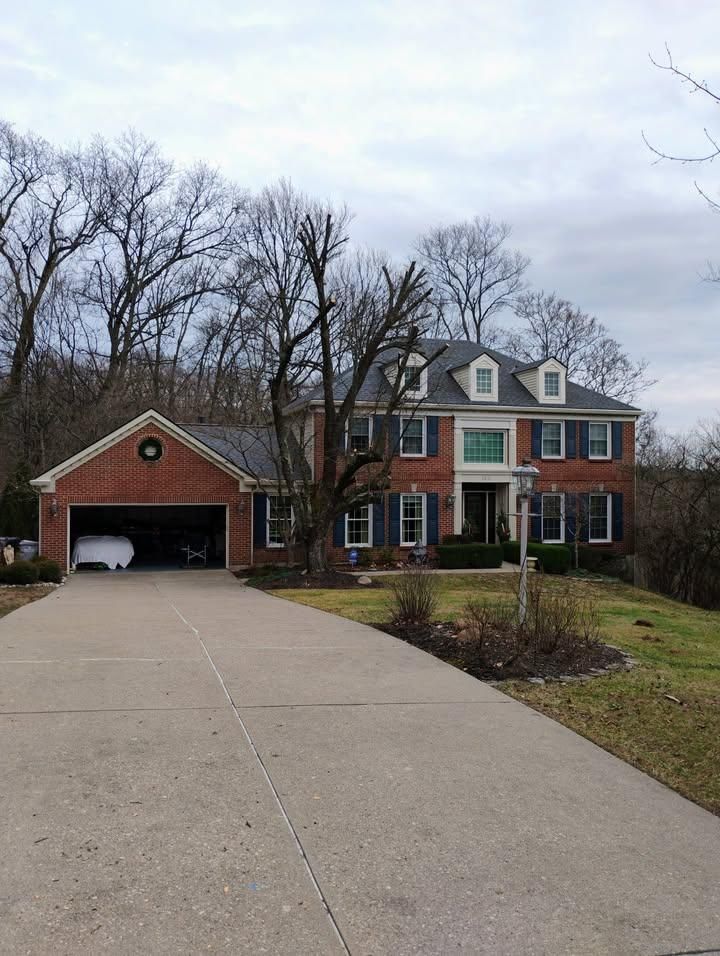Tree Trimming for Kingdom Tree Trimming and Removal LLC in Covington, KY