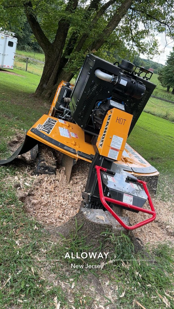 Stump Removal for Melnyk’s Tree Service in Salem County, NJ