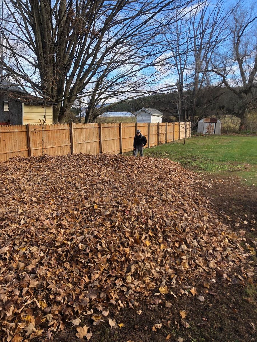 Seasonal Cleanups for Levi Allen Lawn Care in Rutland County, VT