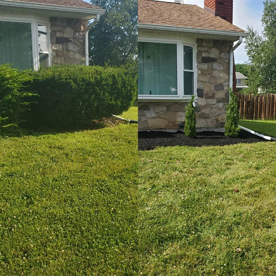 Shrub Trimming for Trippin A-Lawn in Bethlehem, PA