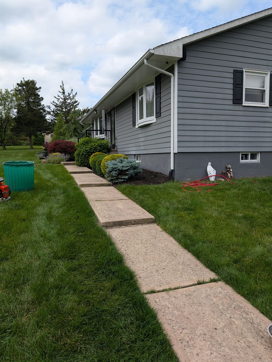 Privacy Plantings for Ettere Landscape Services in Flemington, NJ