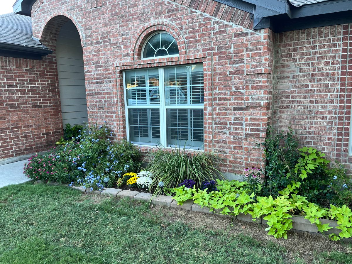 Landscaping for John Webb Services    in New Braunfels, TX