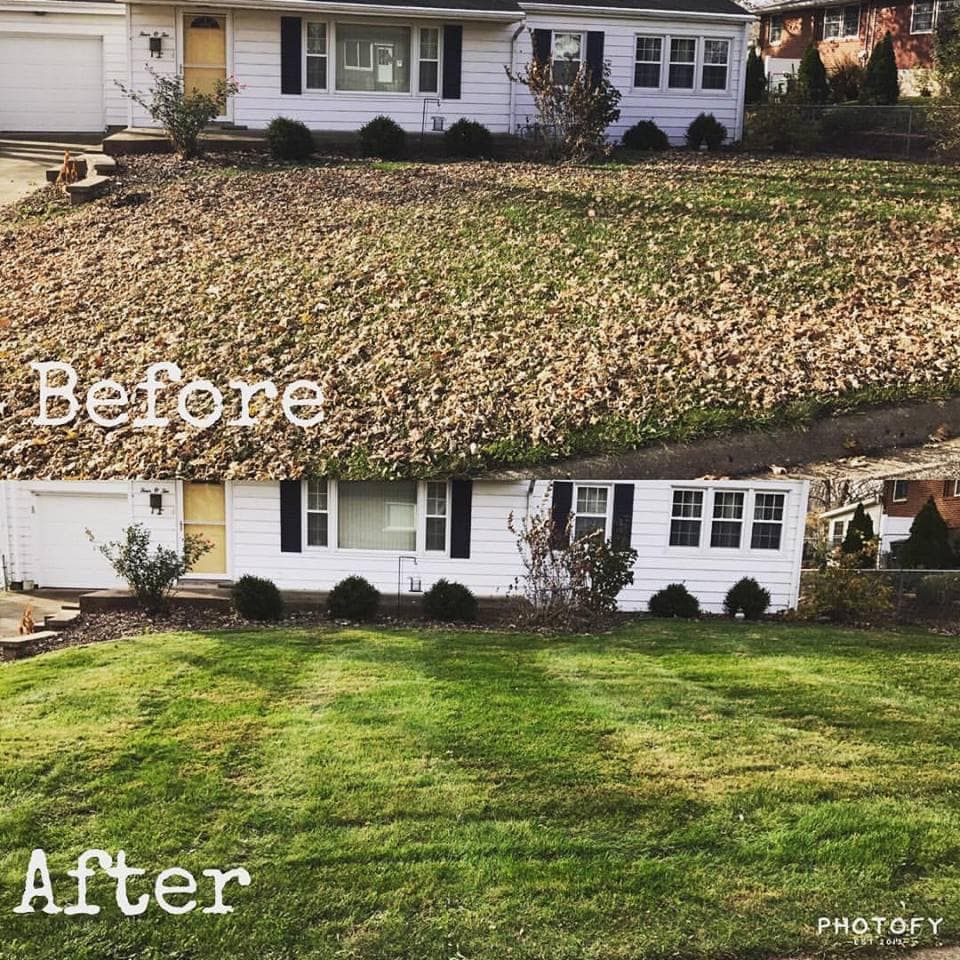 Fall Clean Up for LB's Lawn and Snow, LLC in Saint Cloud, MN