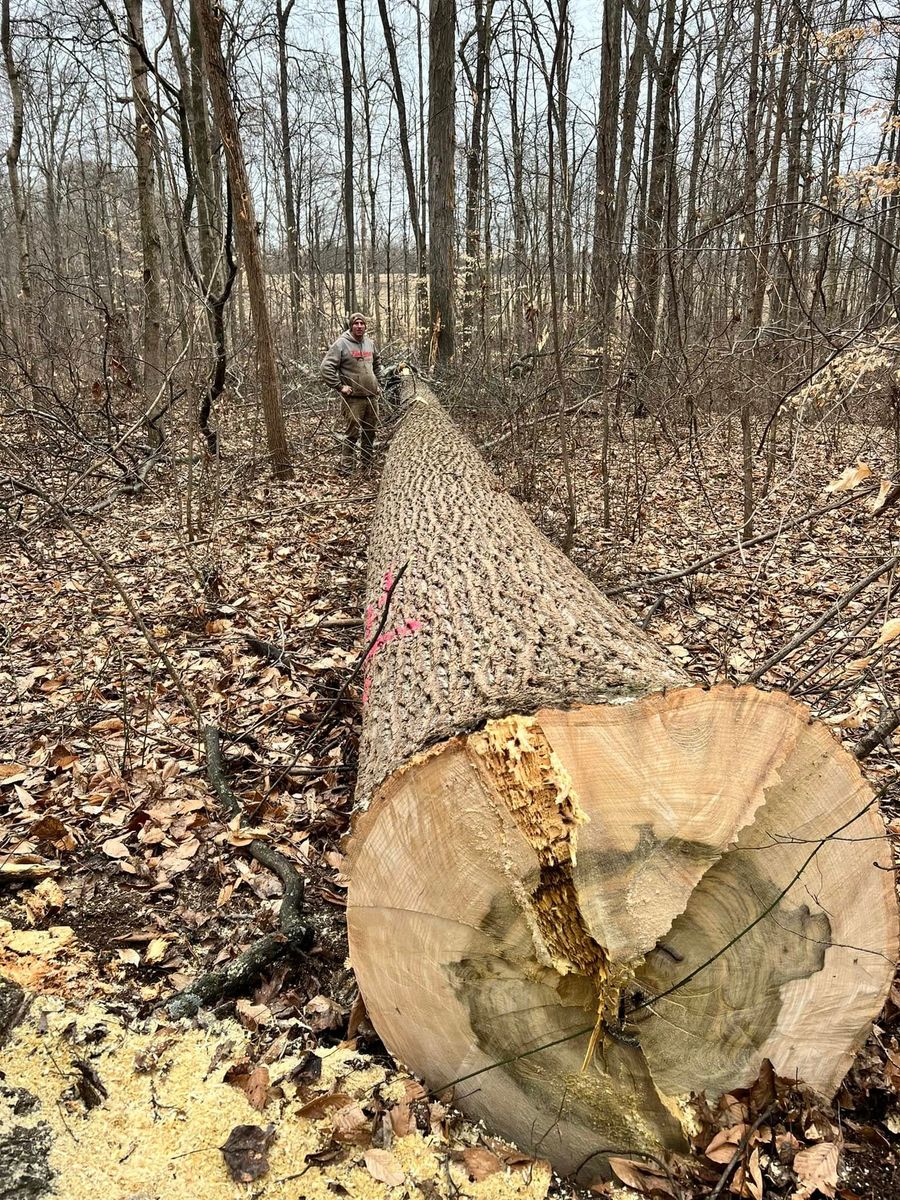 Fall Clean Up for Kadin’s Tree Service in North Vernon, IN