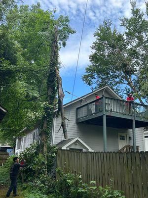Emergency Tree Service for Bulldawg Disaster Response in Atlanta, GA