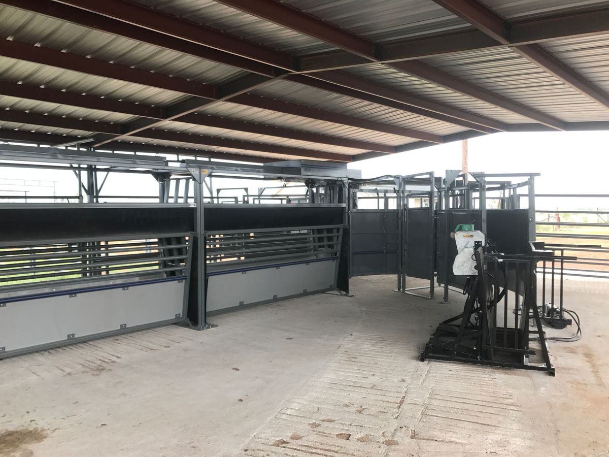 Cattle Pens for 5-7 Fencing & Construction in Madisonville, TX