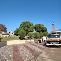 Other Lawn Services for TJ Turf in Chula Vista, CA