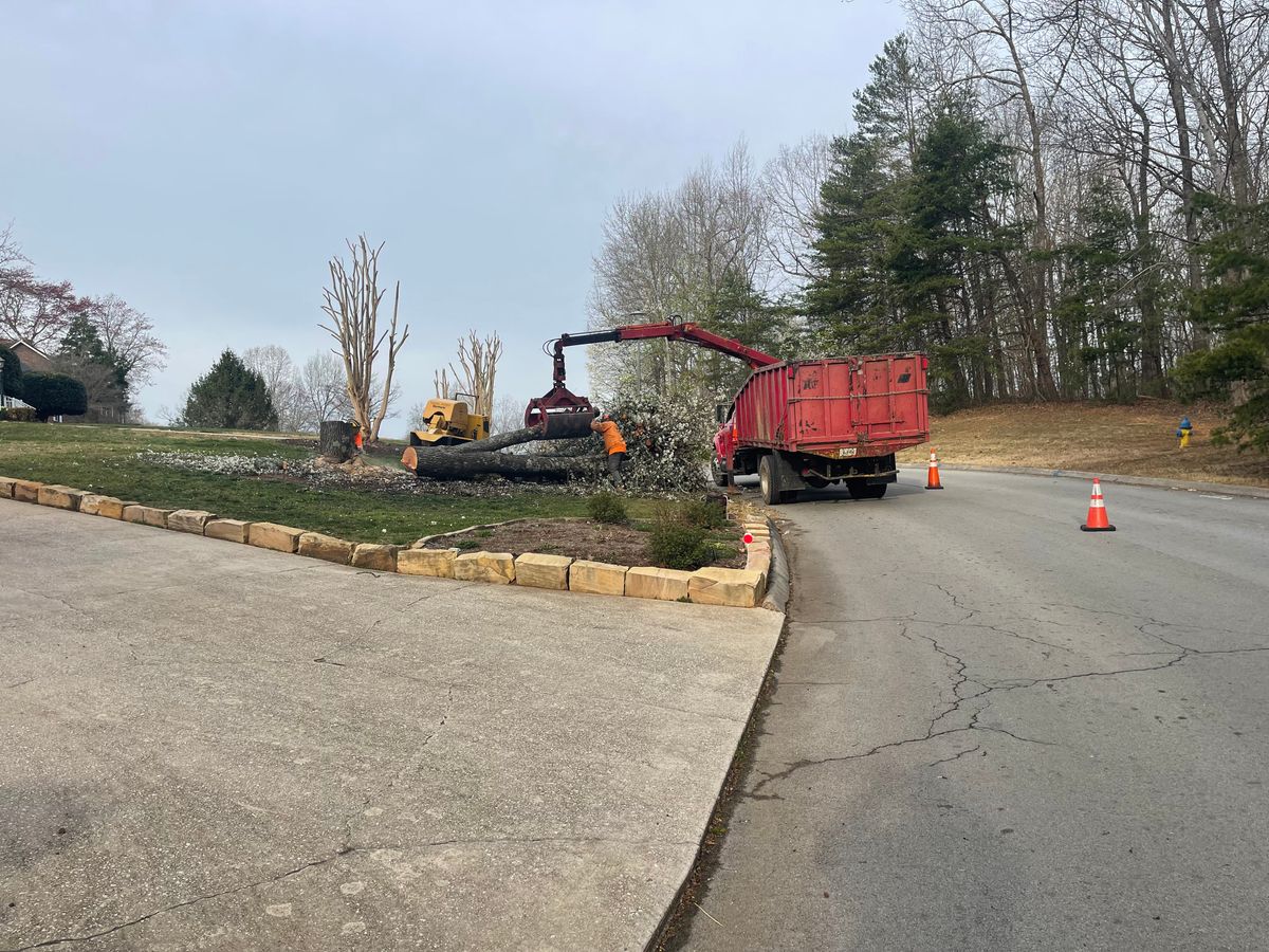 Tree Removal for Lucky’s Tree Removal and Landscape Services in Clinton, TN