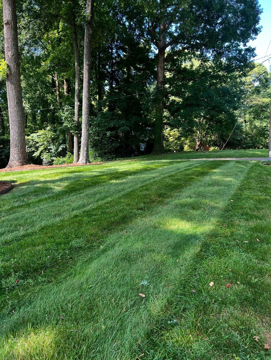 Lawn Mowing for Massey Landscapings in Gastonia, NC