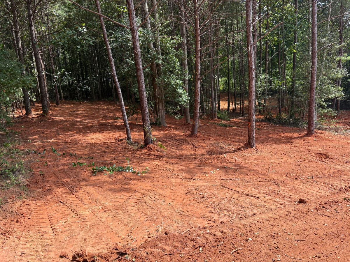 Site Preparation for Grading & Clearing Services in Dawsonville, GA
