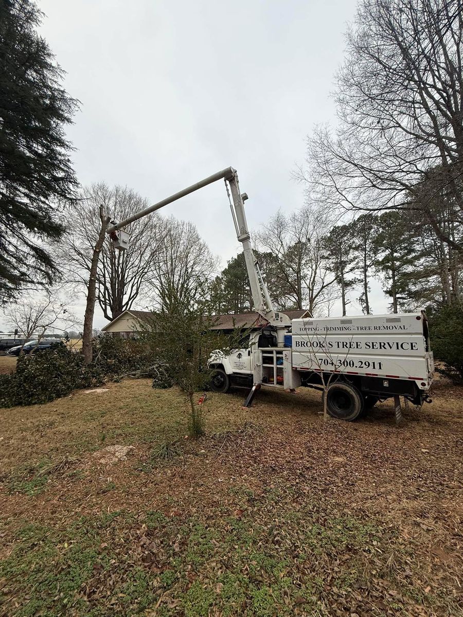 Tree Trimming for Brooks Tree Service in Casar, NC