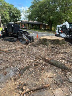 Tree Removal for Trees Unlimited of the CSRA in Augusta, GA