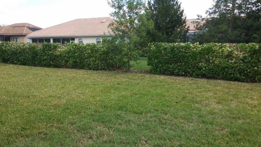 Mowing for Top Gun Lawn Care in Citrus, FL