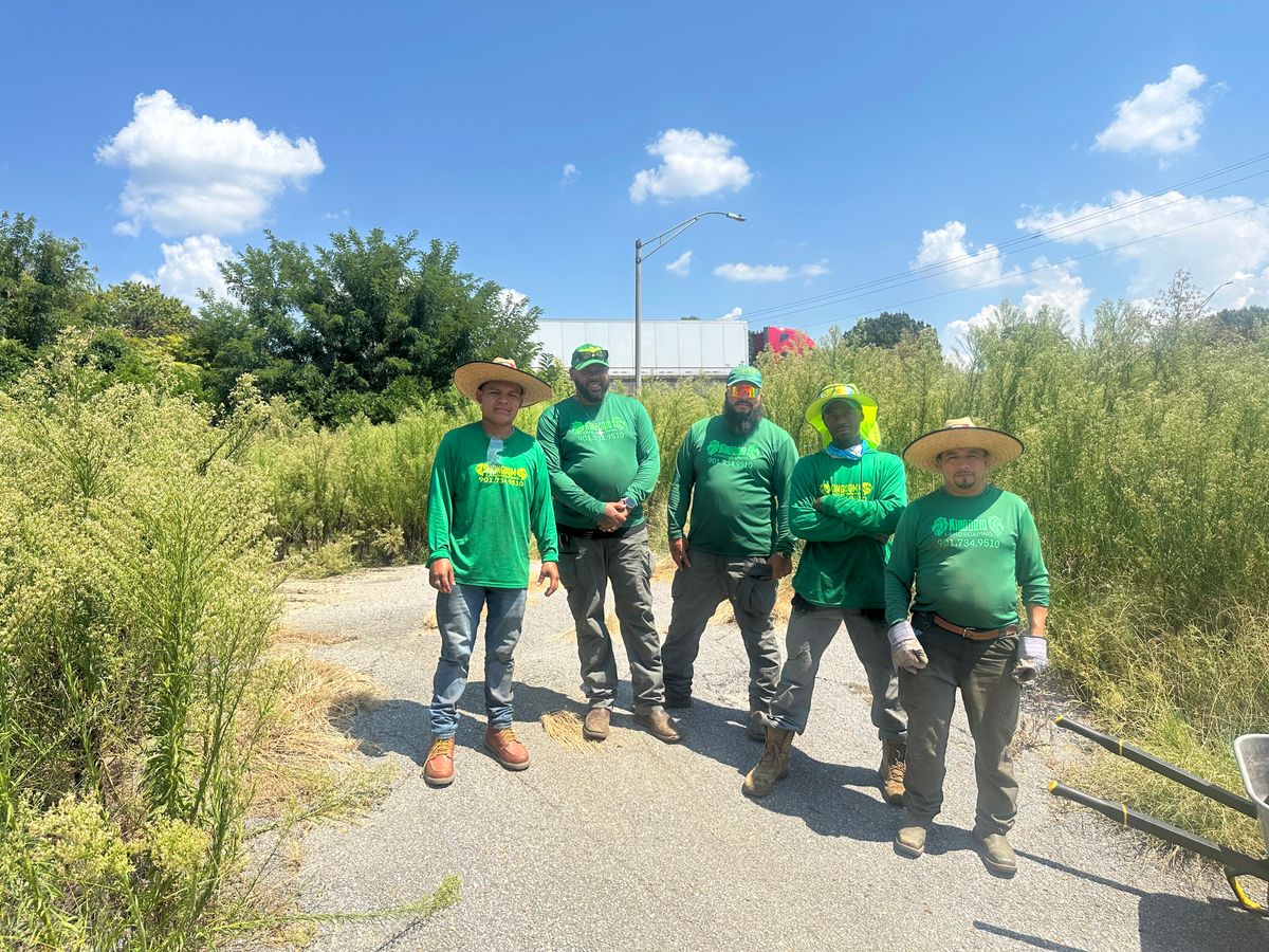 Weed Control! for Kingdom Landscaping in Memphis, TN