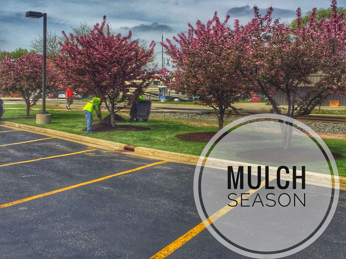Mulch Installation for Greenscape Lawns in Montague, MI