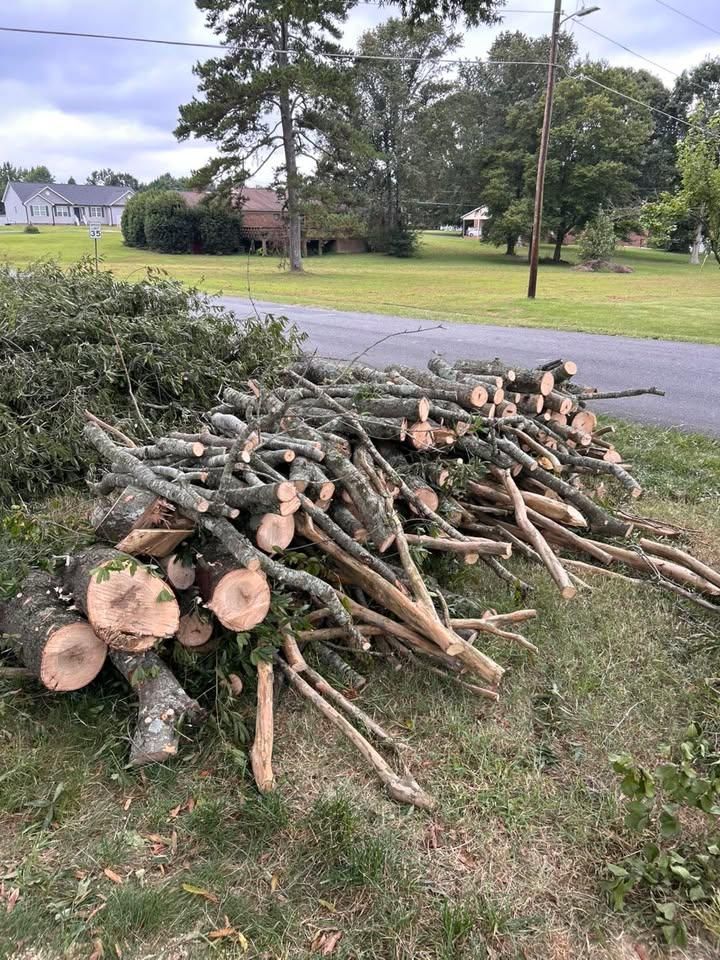 Fallen Tree Removal for Land Legends Landscapes in Kings Mountain, NC
