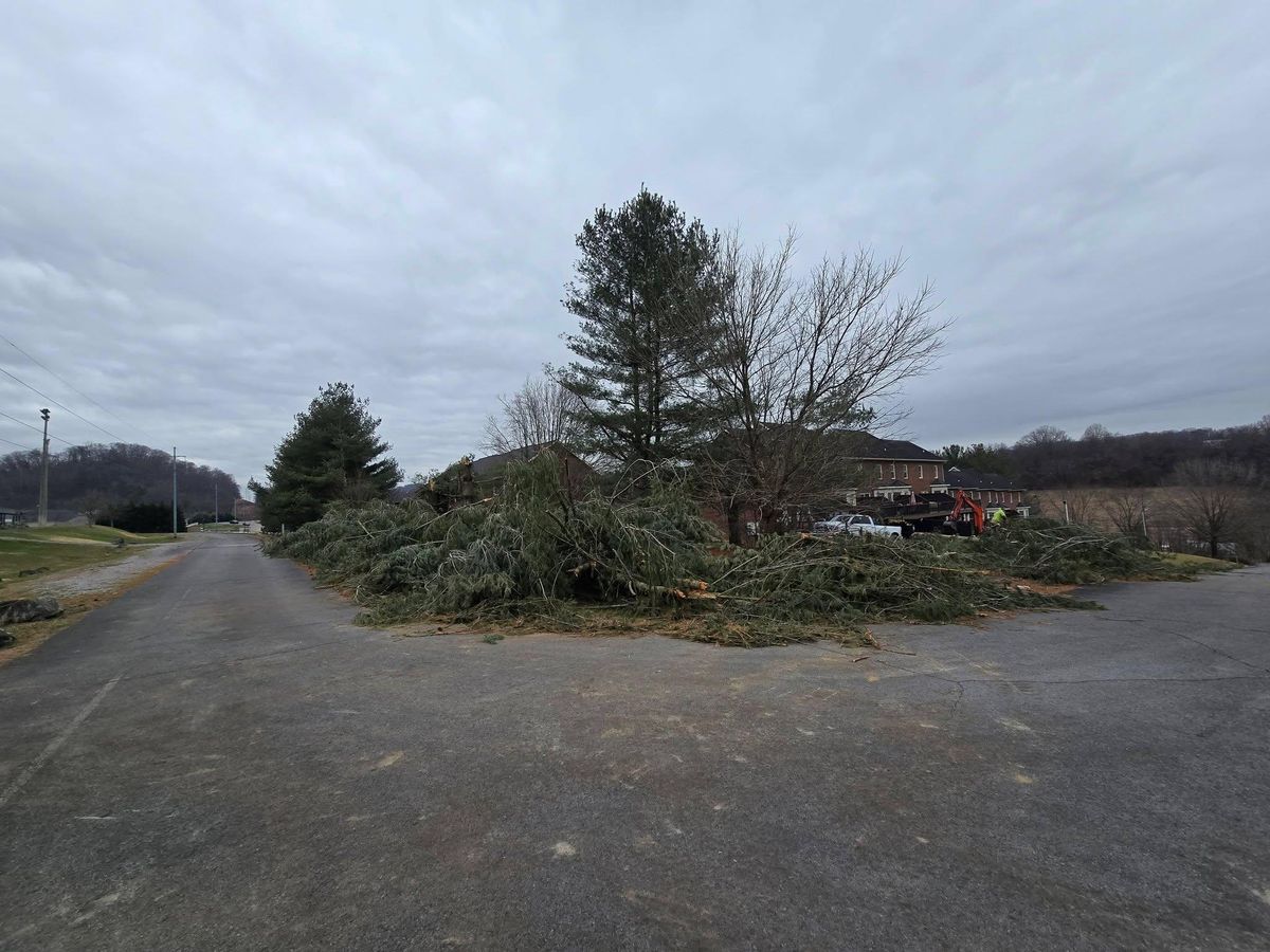Tree Removal for M&L Lumber and Excavating in Jonesborough, TN