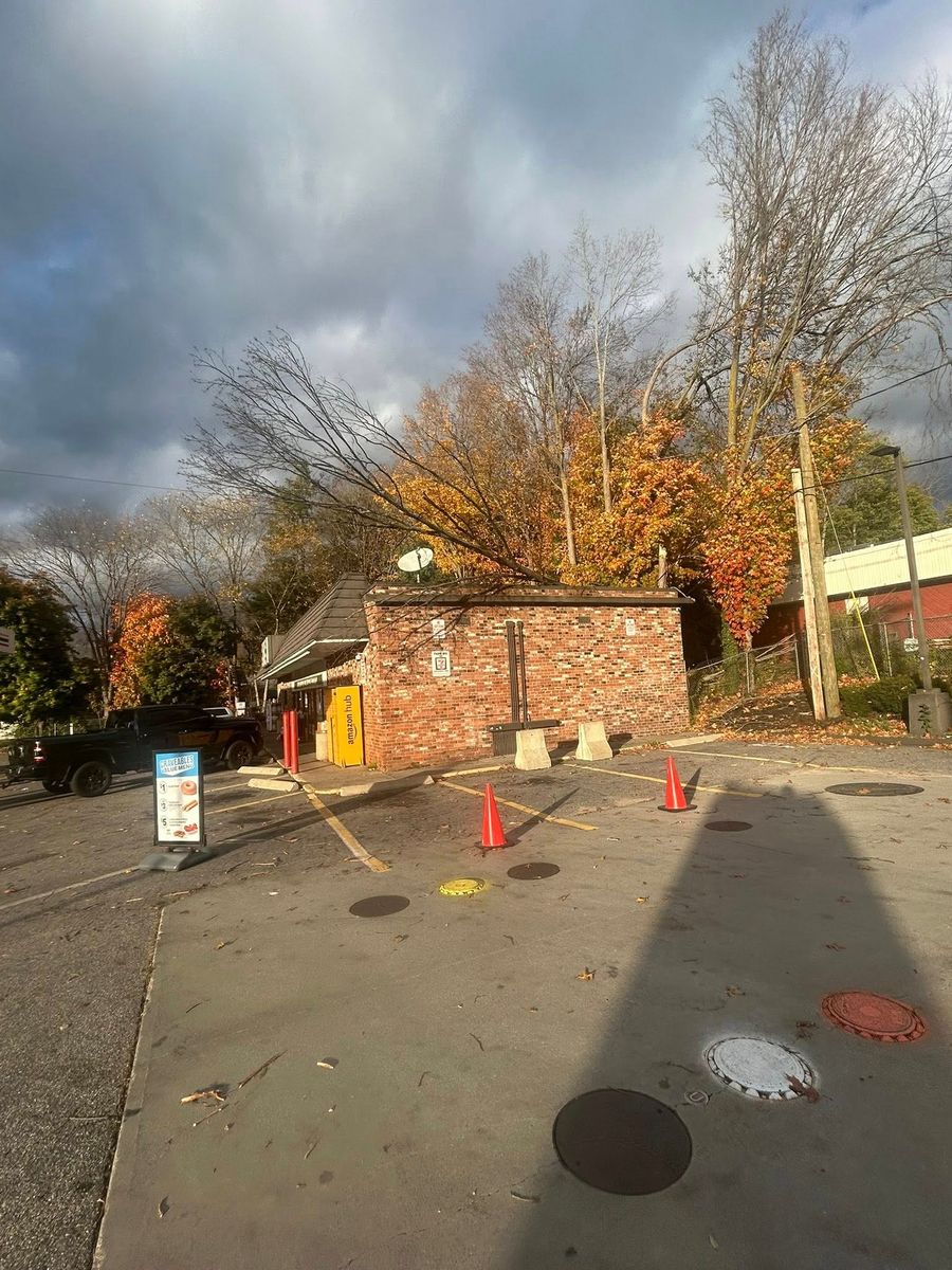 Emergency Tree Services for DC TREE in Vernon, CT