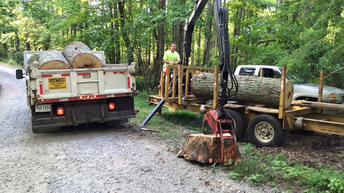 Emergency services and Storm Damage for Smith Tree Experts in Palmyra, VA