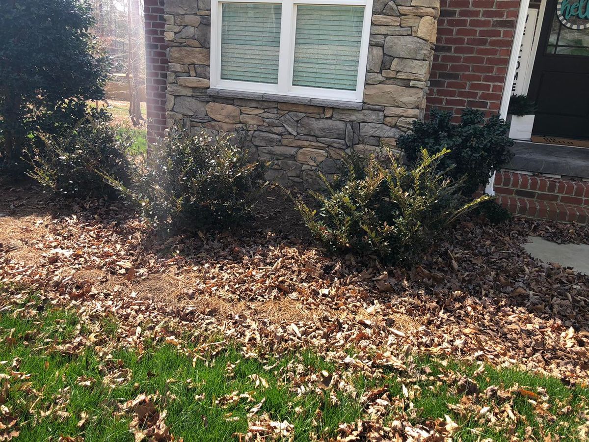 Fall Clean Up for El Perico Tree Service and Lawn Care, LLC in Boonville, North Carolina