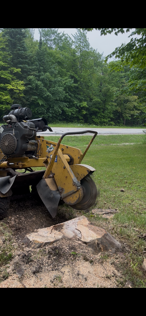 Stump Grinding and Removal for J&Q Tree Service in Paradise, MI