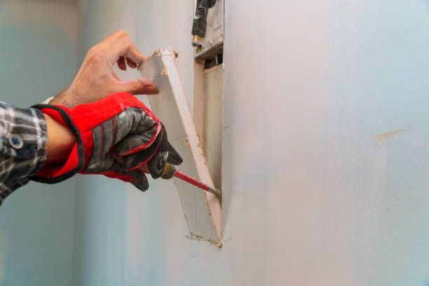Drywall Repair  for Clean Slate Painting in Jacksonville, FL