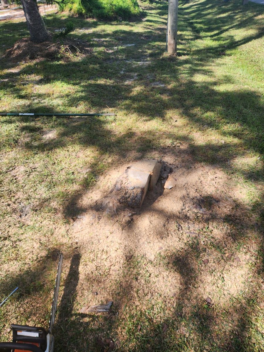 Land Clearing for Nick of Time Tree Service in North Port, FL