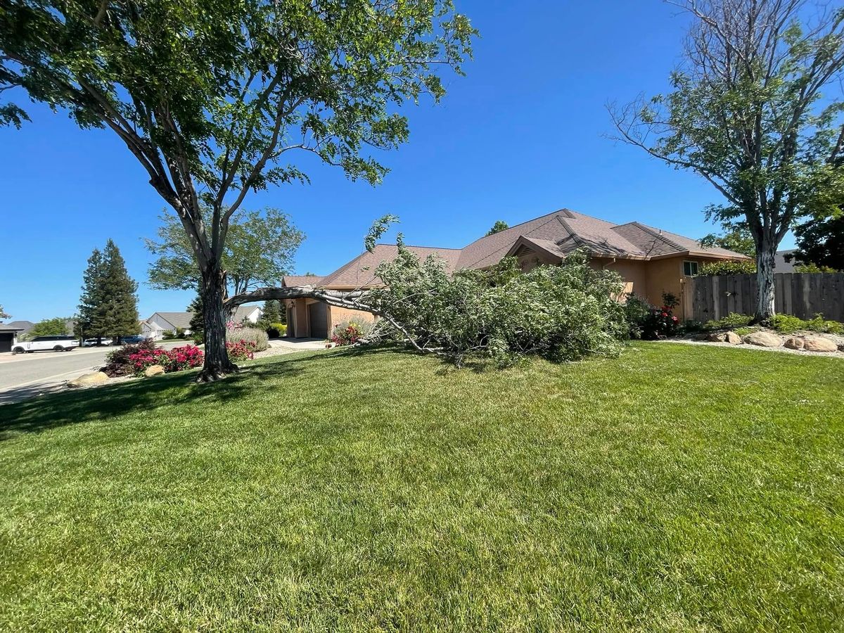 Lawn Maintenance for Zuta1 Services in Redding, CA